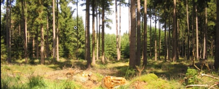 Read more about the article Blog post Beispiel