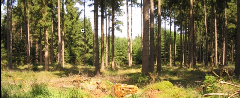 Read more about the article Blog post Beispiel